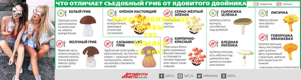 молекула духа Инта