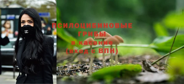молекула духа Инта