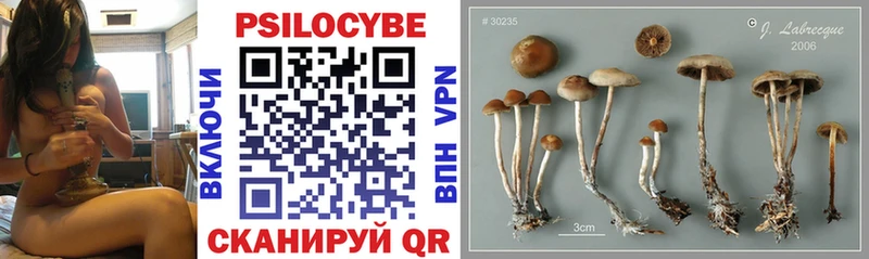 Купить  Навашино  Галлюциногенные грибы MAGIC MUSHROOMS 